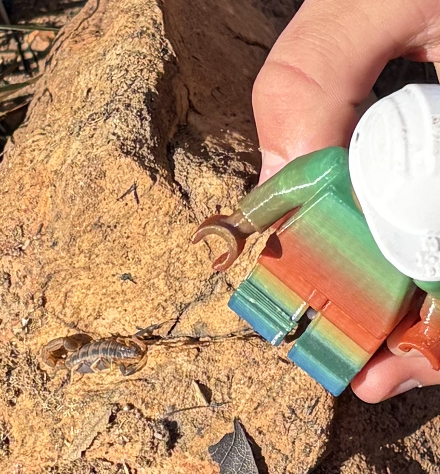 A toy explorer used to show the scale of a rocky habitat