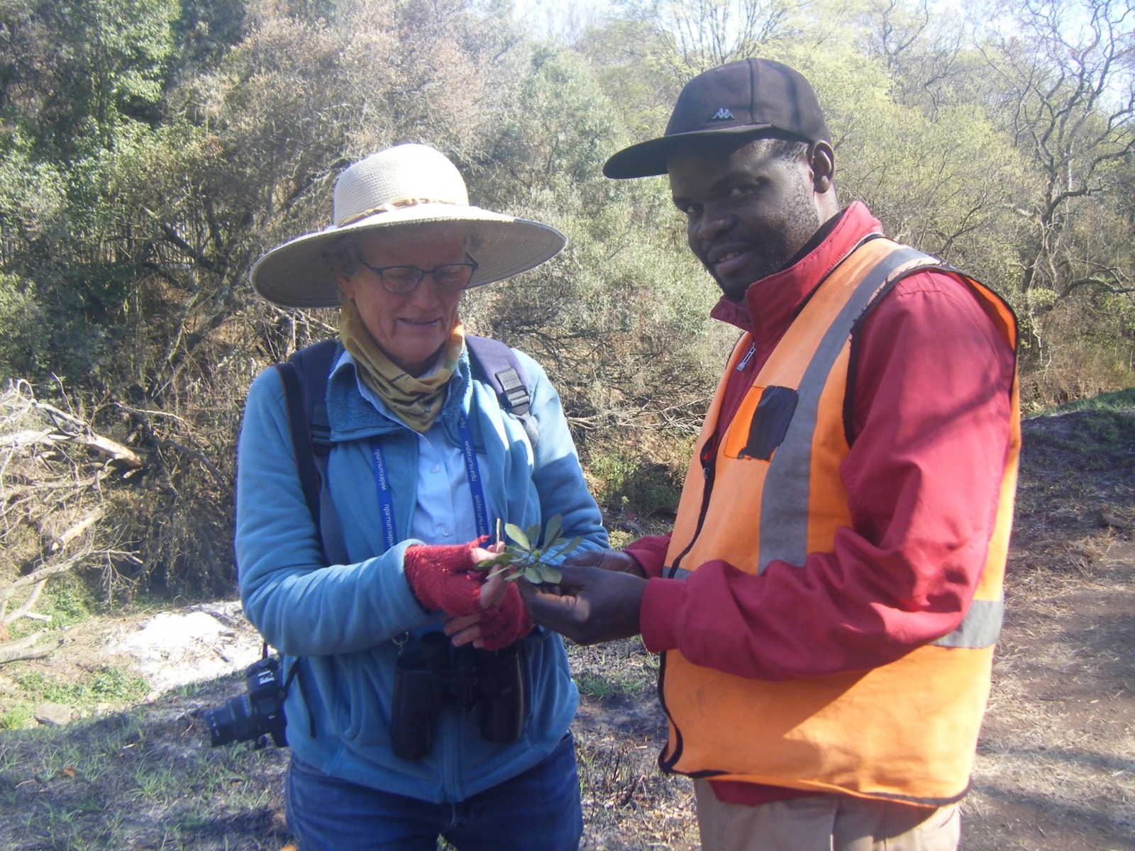 Clement discussing an indigenous plant with a conservation colleague